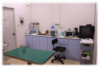 かなどう動物病院,犬,猫ぎ