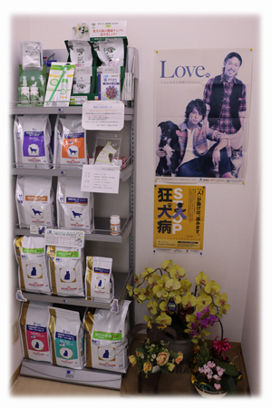 かなどう動物病院,犬,猫