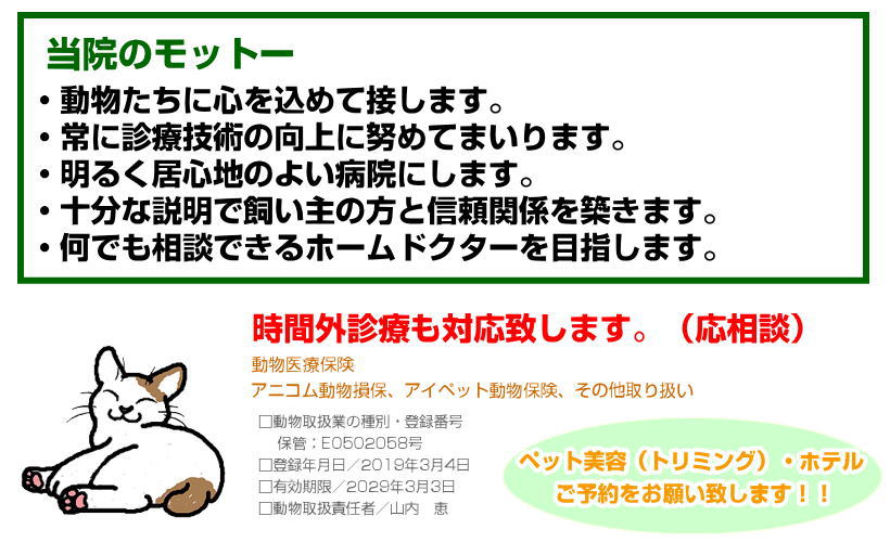 かなどう動物病院,犬,猫